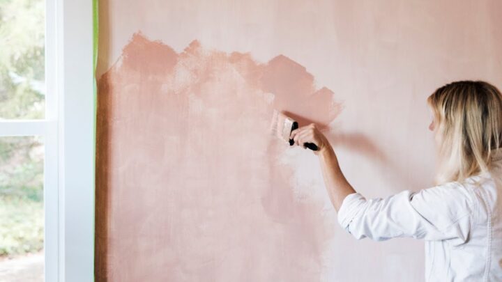 natural wall paint singapore