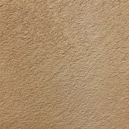 C06 (Eggshell)