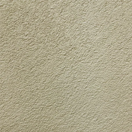 C19 (Champagne)