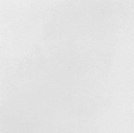 LP01 (Splashed White)