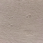 S02: Ivory