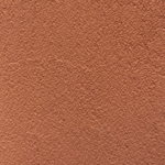 S35: Apricot