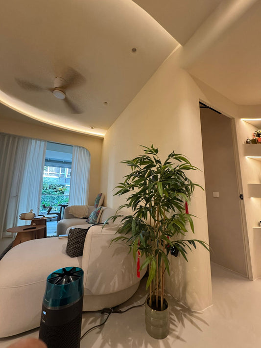 Texture Wall Singapore: Why Vasari Lime Paint & Plaster Finishes Are Transforming Modern Interiors