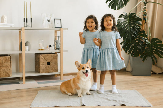 3 tips to look for the best child- and pet-friendly wall paints for Singapore homes